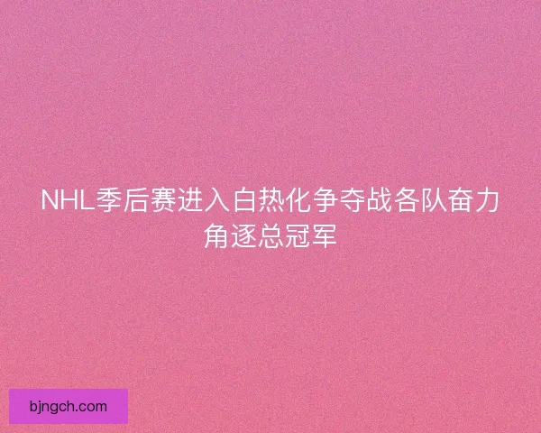 NHL季后赛进入白热化争夺战各队奋力角逐总冠军 NHL季后赛进入白热化争夺战各队奋力角逐总冠军